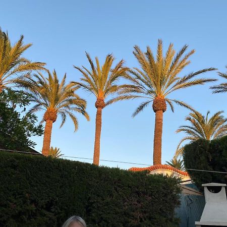 Gemütliches Bungalow in Denia Spanien Exterior foto